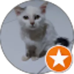 Review From Amazake
