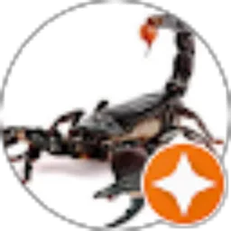 Review From Uky pro