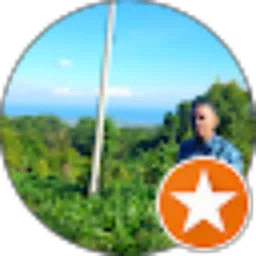 Review From Batman Vdni