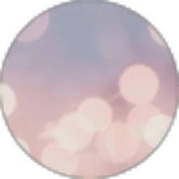 Review From arin
