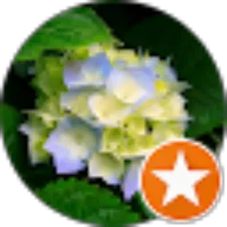 Review From nur herina