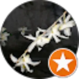 Review From jack sea