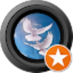 Review From Purnomo