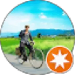 Review From Robertus Willy Vembriarto