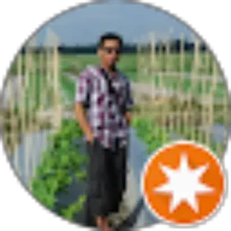 Review From Mad Sholeh