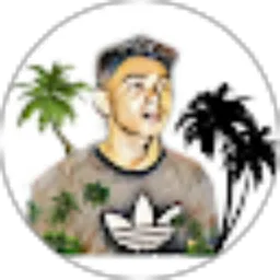 Review From real fandie