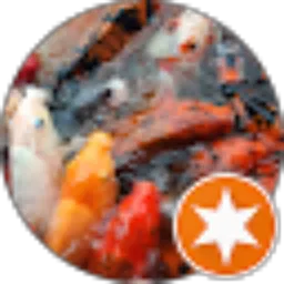Review From Caisar Alvin