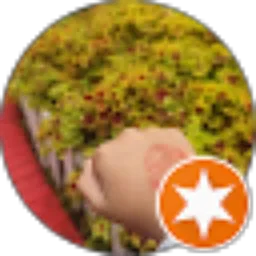 Review From Altofima Usnanta