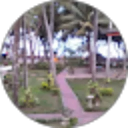 Review From Echa Mp