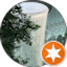 Review From yong yong