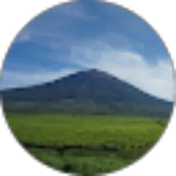Review From Jabbar Muhammad Lubis