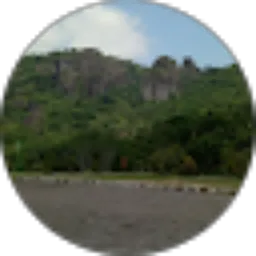 Review From Puntoadji Pamungkas