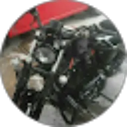 Review From Toni Mochi