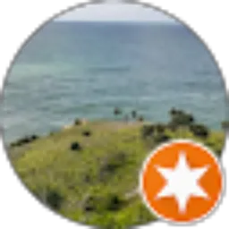 Review From Hermanto