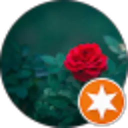 Review From Bunga