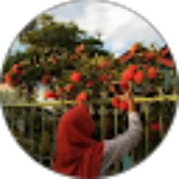 Review From Andriza Nur Chunafa