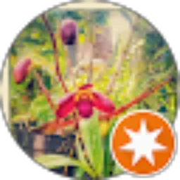 Review From TONNY VEMBRI