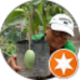 Review From Bibit Buah Bantul