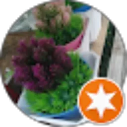 Review From Ahmad Suhri
