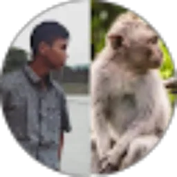 Review From Anggi Bachtiar