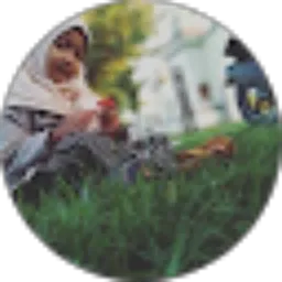 Review From Malik Abdul azis