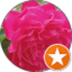 Review From Ali Sy