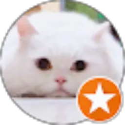 Review From Obino chan
