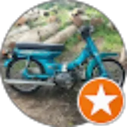 Review From An_ cung