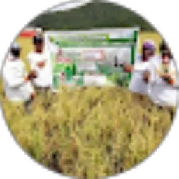 Review From JAYA LDL Jayaabadi