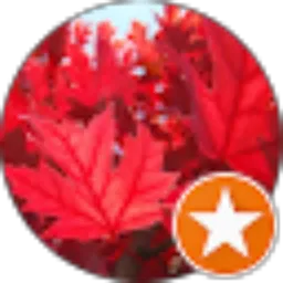 Review From Yudi Lee