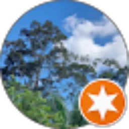 Review From Ilham Rahman
