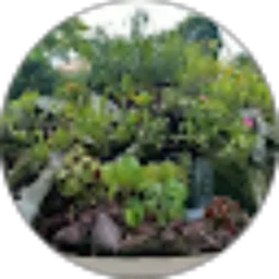 Review From Steven