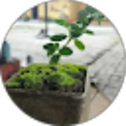 Review From Tonek Su