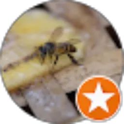 Review From MasDwo