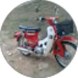 Review From alvin 88 cell