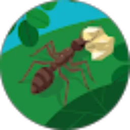 Review From wL 21