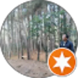 Review From albert maharso s