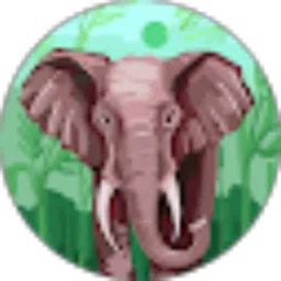 Review From الرزي arrazzi