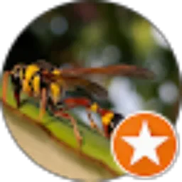 Review From heru atmaja