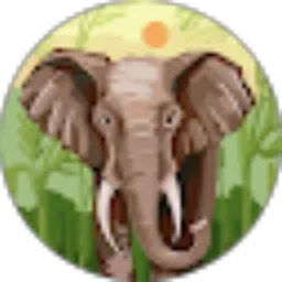 Review From Sap Ri