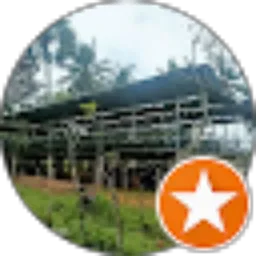 Review From Ahmad Faidi