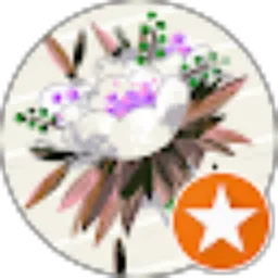 Review From Y P