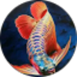 Review From rafandy the