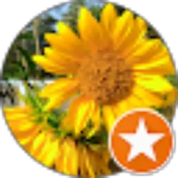 Review From Muhlisin