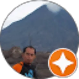Review From Wiji Santosa