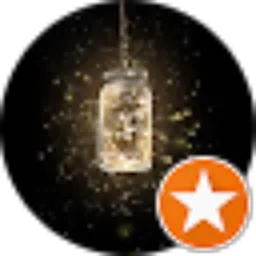 Review From DINI