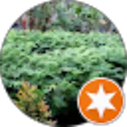 Review From Komariyah Jaya