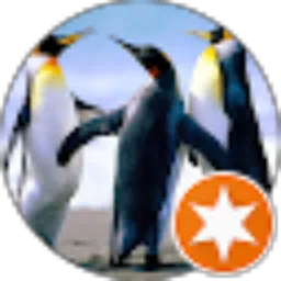 Review From virdy R