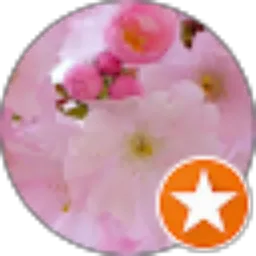 Review From Yulia Haizar