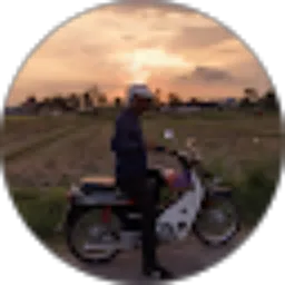 Review From Prasetiyo Landari